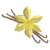 Vanille